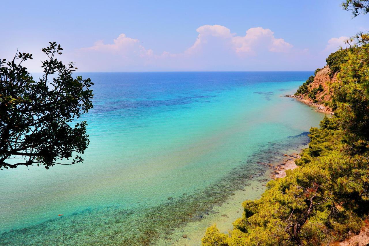 Ariadni Villa Sani Sani  Bagian luar foto